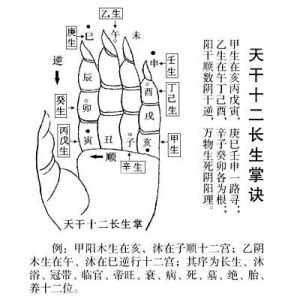 十二長生掌訣|十二长生天干掌诀（带字幕）（零基础入门课）